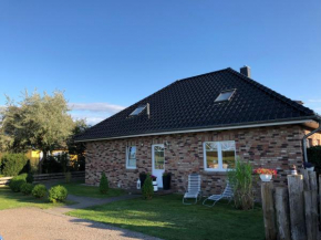 Graureiher in Wieck Am Darß